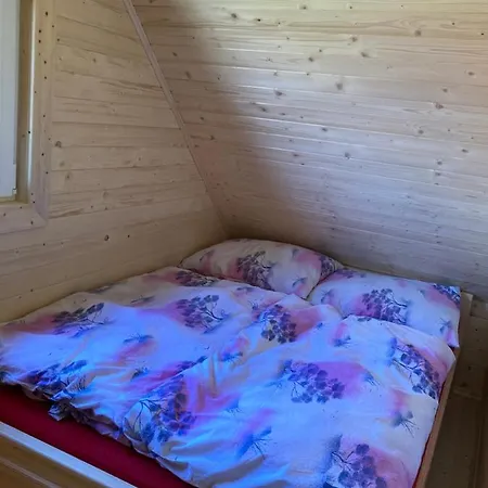 Drevenica Karolina *